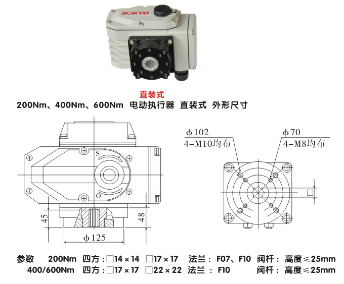 電動執行器,電動頭,YTDG-RS200電動執行機構結構圖,直裝式