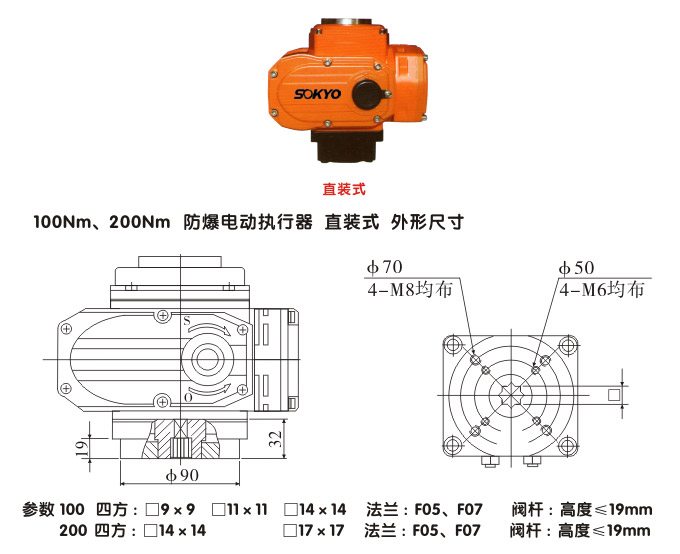防爆電動頭,YTEx-RS100防爆電動執行器結構圖,直裝式